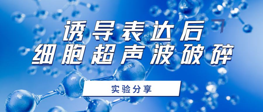 诱导表达后细胞超声波破碎实验分享-上海沪析