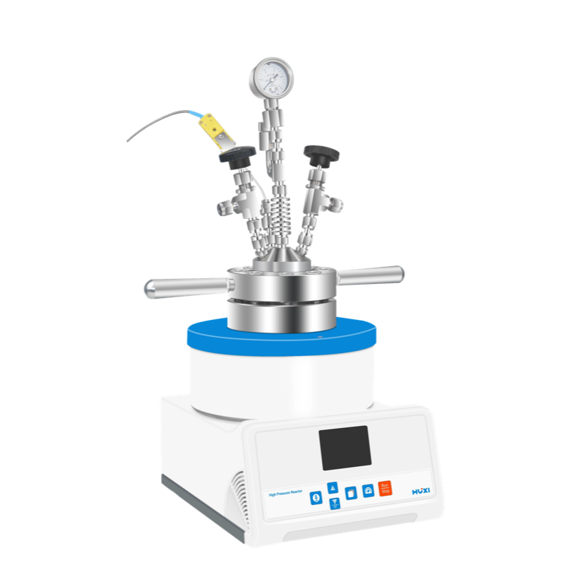 磁力搅拌高压反应釜（316L内胆）HXPR-200-上海沪析