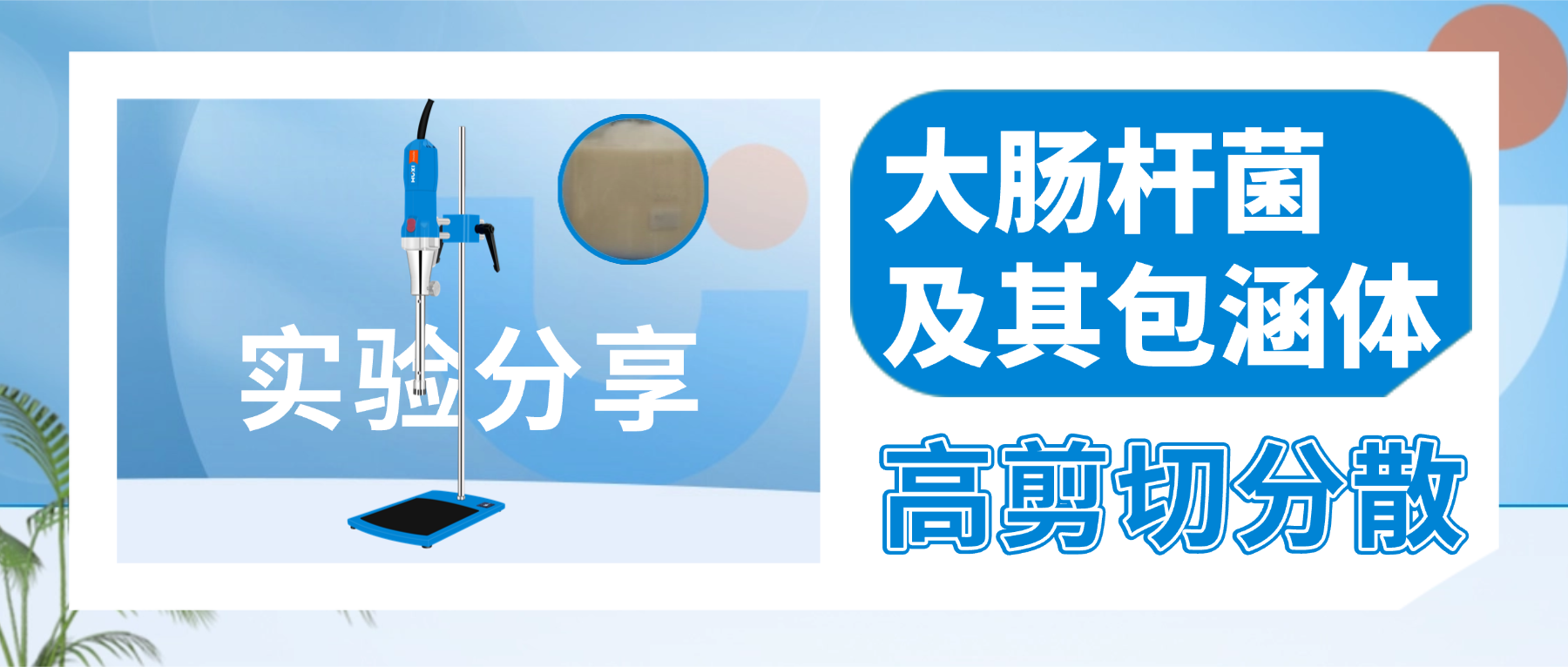 高剪切均质乳化机对大肠杆菌及其包涵体的分散效果-上海沪析