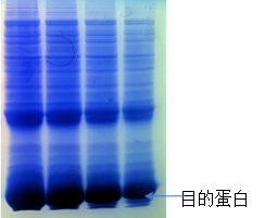 洗涤后